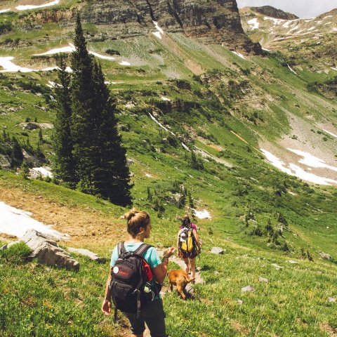 Mountain Summit Trek 769